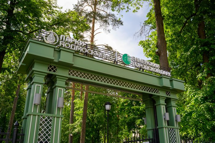 Раменский городской парк культуры и отдыха летом