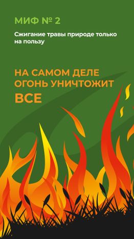 комлесхоз_пал_верт_3.jpg