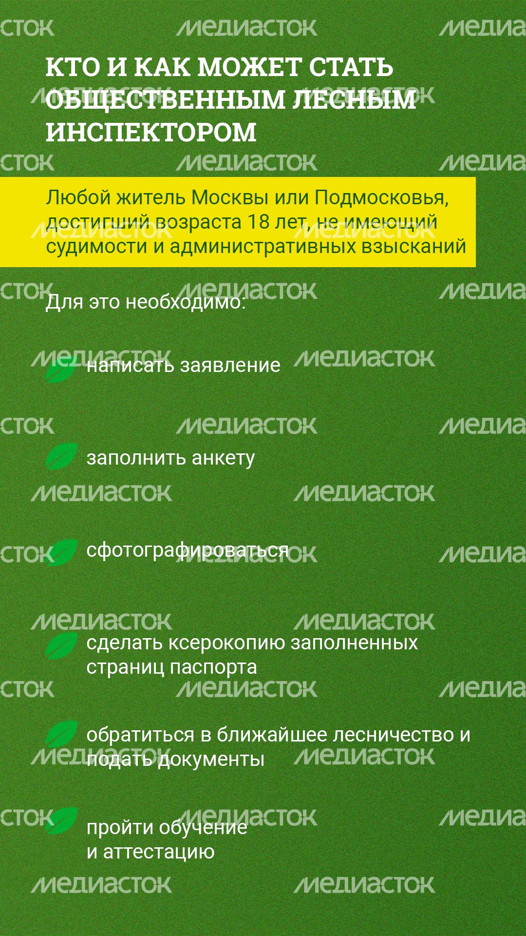 Вертикаль_Как стать общественным лесным инспектором в Подмосковье_03.png