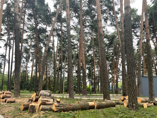 Тимоховский парк