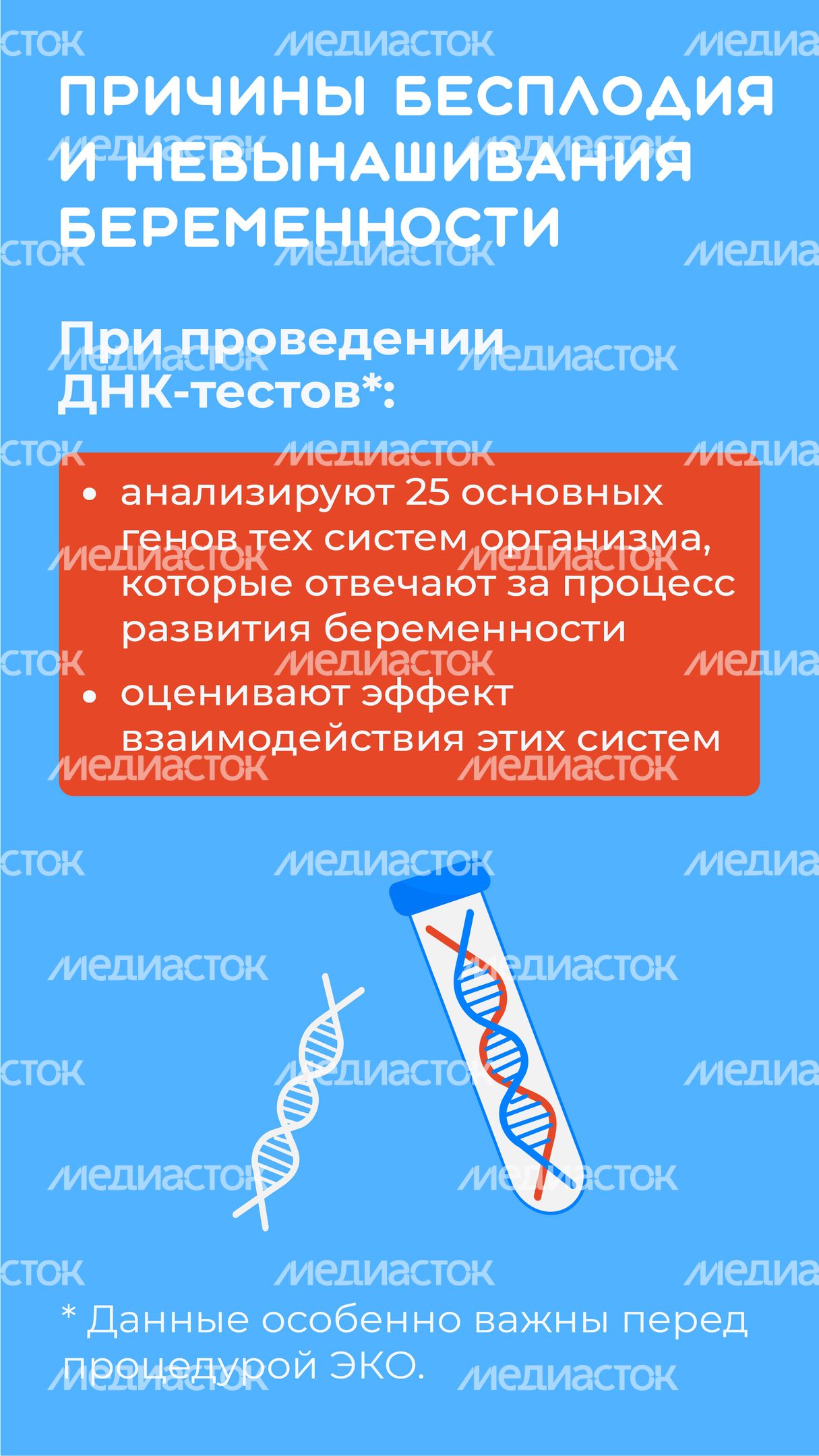 ДНК-вертикаль-07