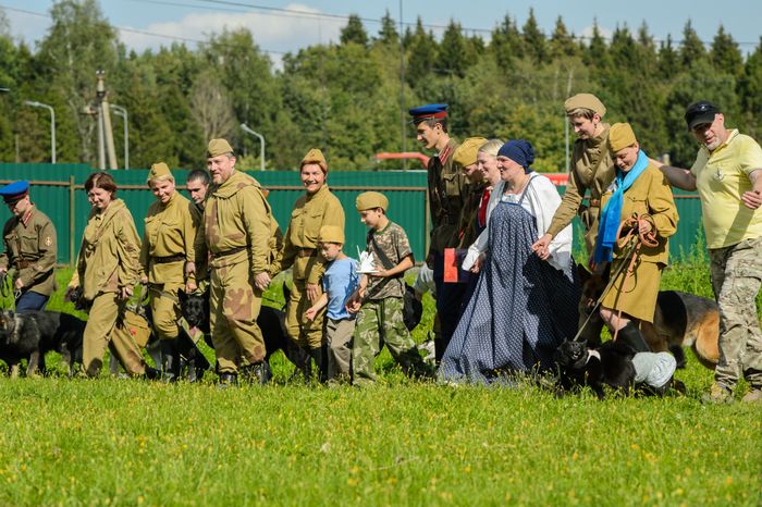 Мытищи. Шолохово. Военно-патриотический фестиваль Фронтовая собака