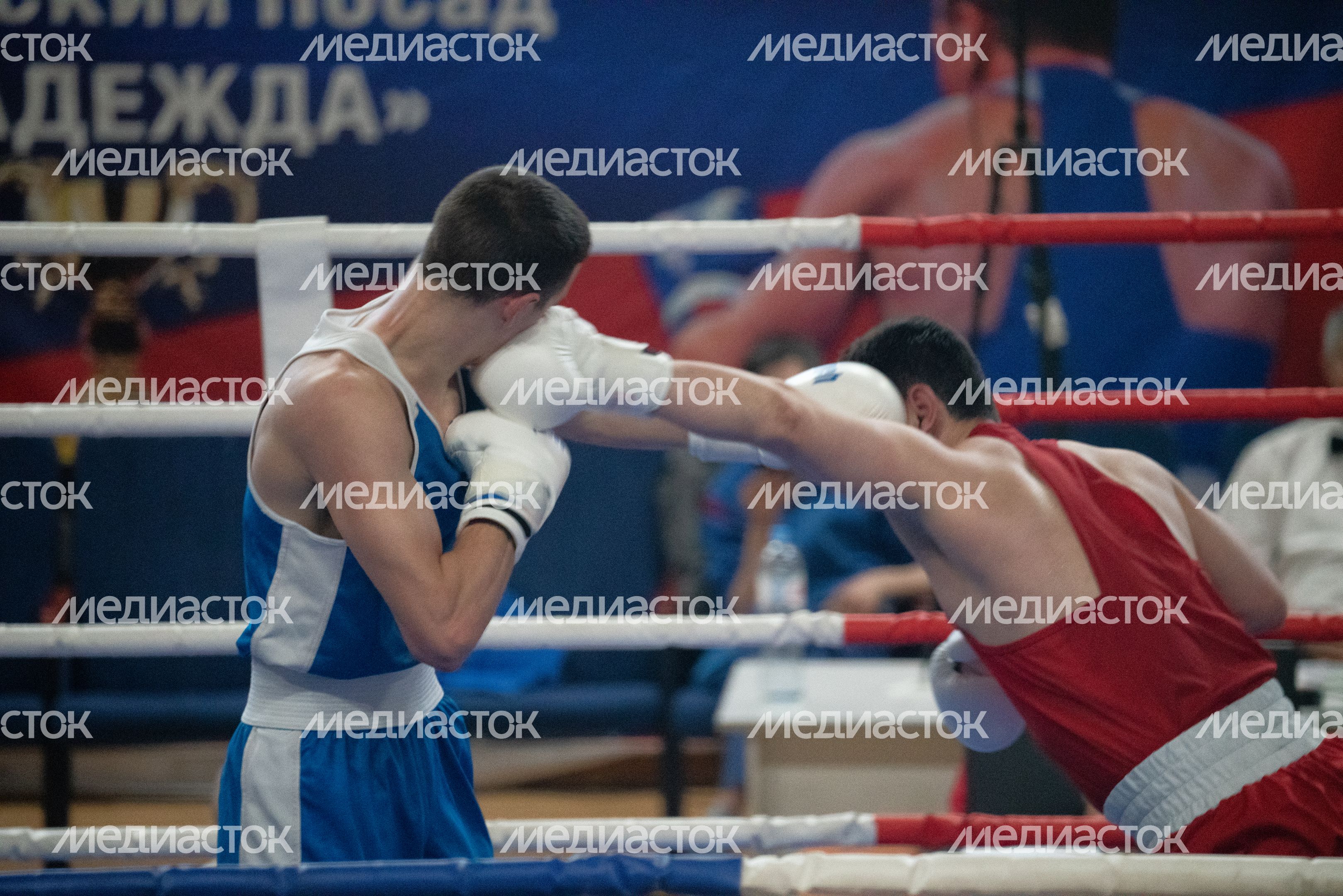 Чемпионат МО по боксу