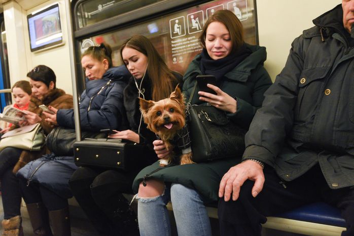 Повседневная жизнь в Москве