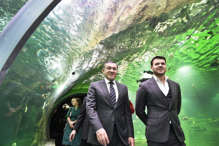Открытие океанариума в Красногорске