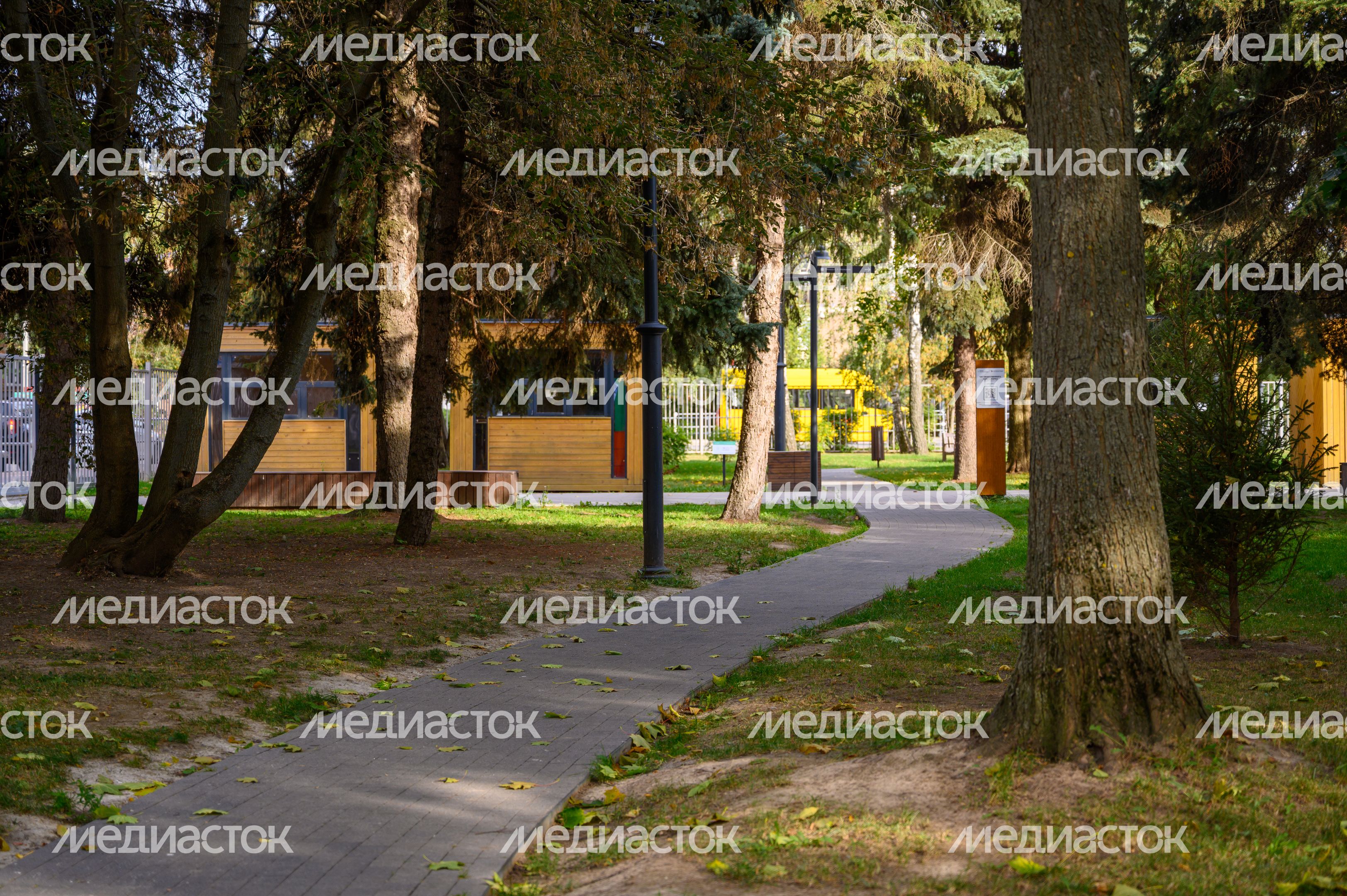 Центральный парк культуры и отдыха в Зарайске Центральный парк культуры и отдыха в Зарайске