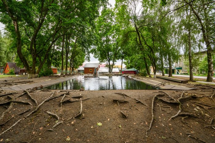 Гжельский зоопарк «Синь России»