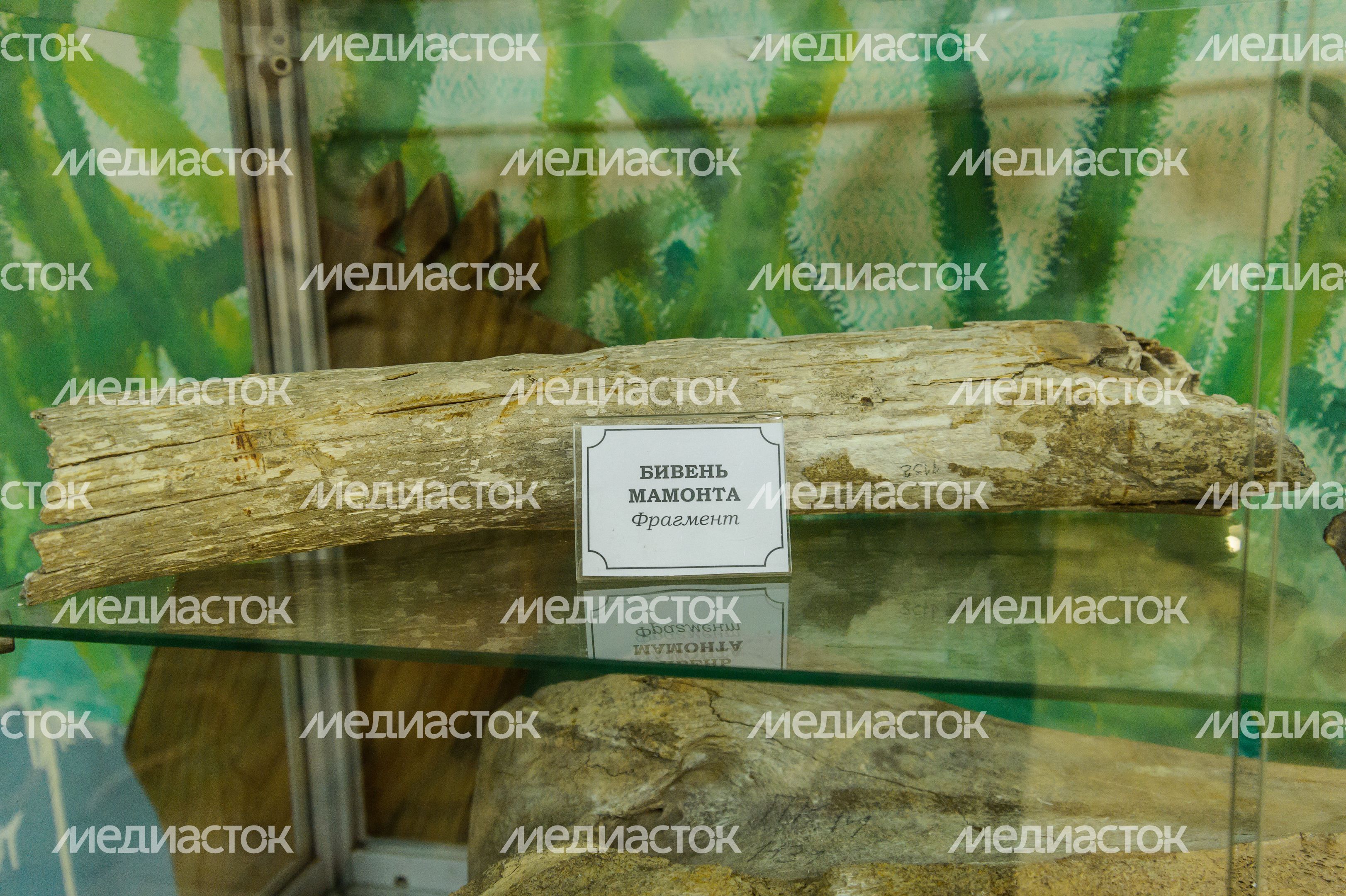 Краеведческий музей в Пушкино