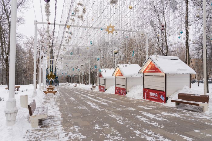 Истринский городской парк зимой