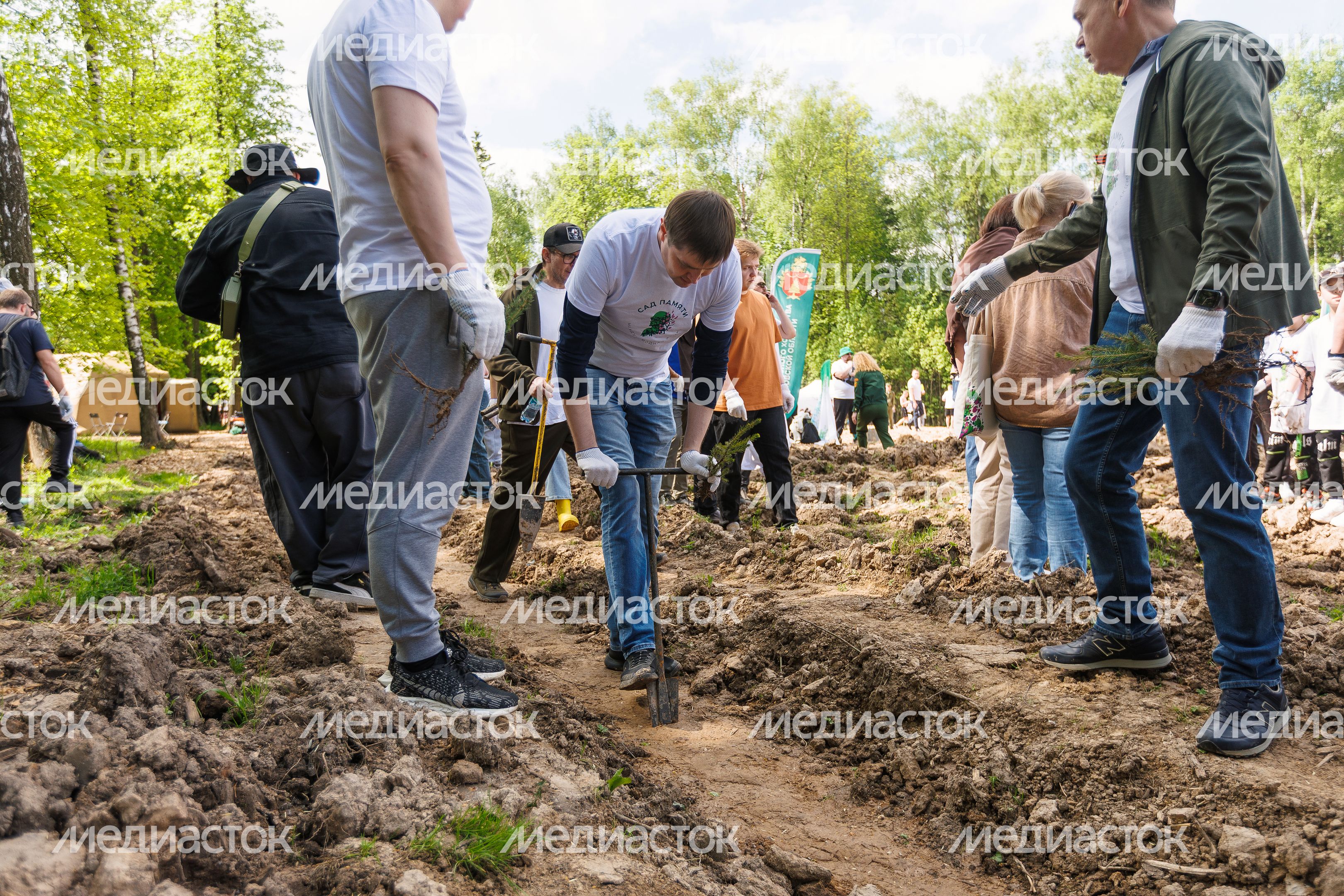 Сад Памяти в Подмосковье-2026: акция по посадке деревьев в Химках Сад Памяти в Подмосковье-2026: акция по посадке деревьев в Химках