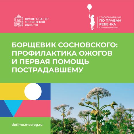 Квадрат_Борщевик Сосновского_01.png