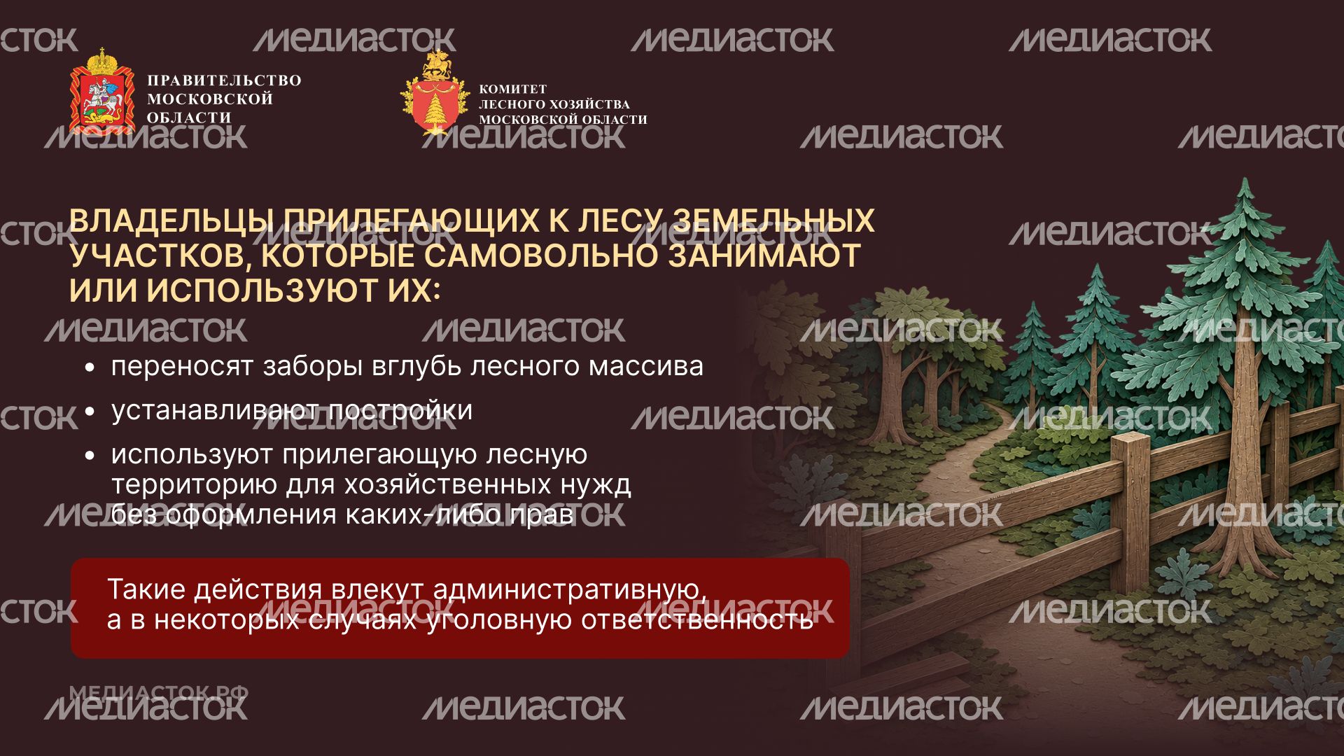Самовольный захват и использование лесных участков горизонталь 02
