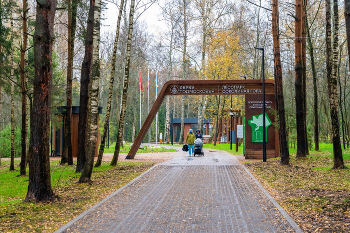 Новый лесопарк «Соколиная гора» в Истре осенью