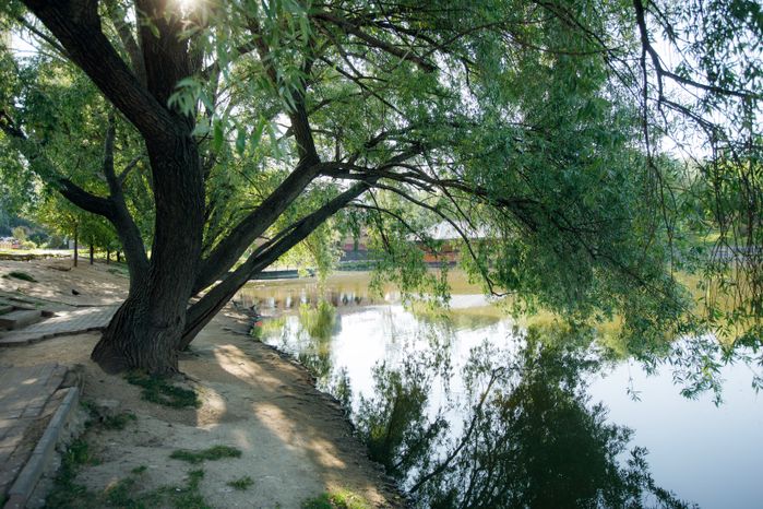 Барашкинский пруд