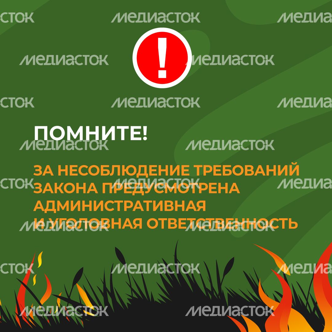 комлесхоз_пал_кв_8.jpg