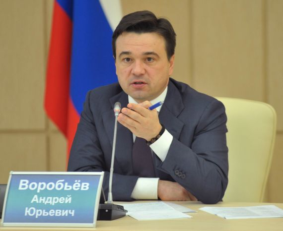 Участие Андрея Воробьева в Общественной палате МО