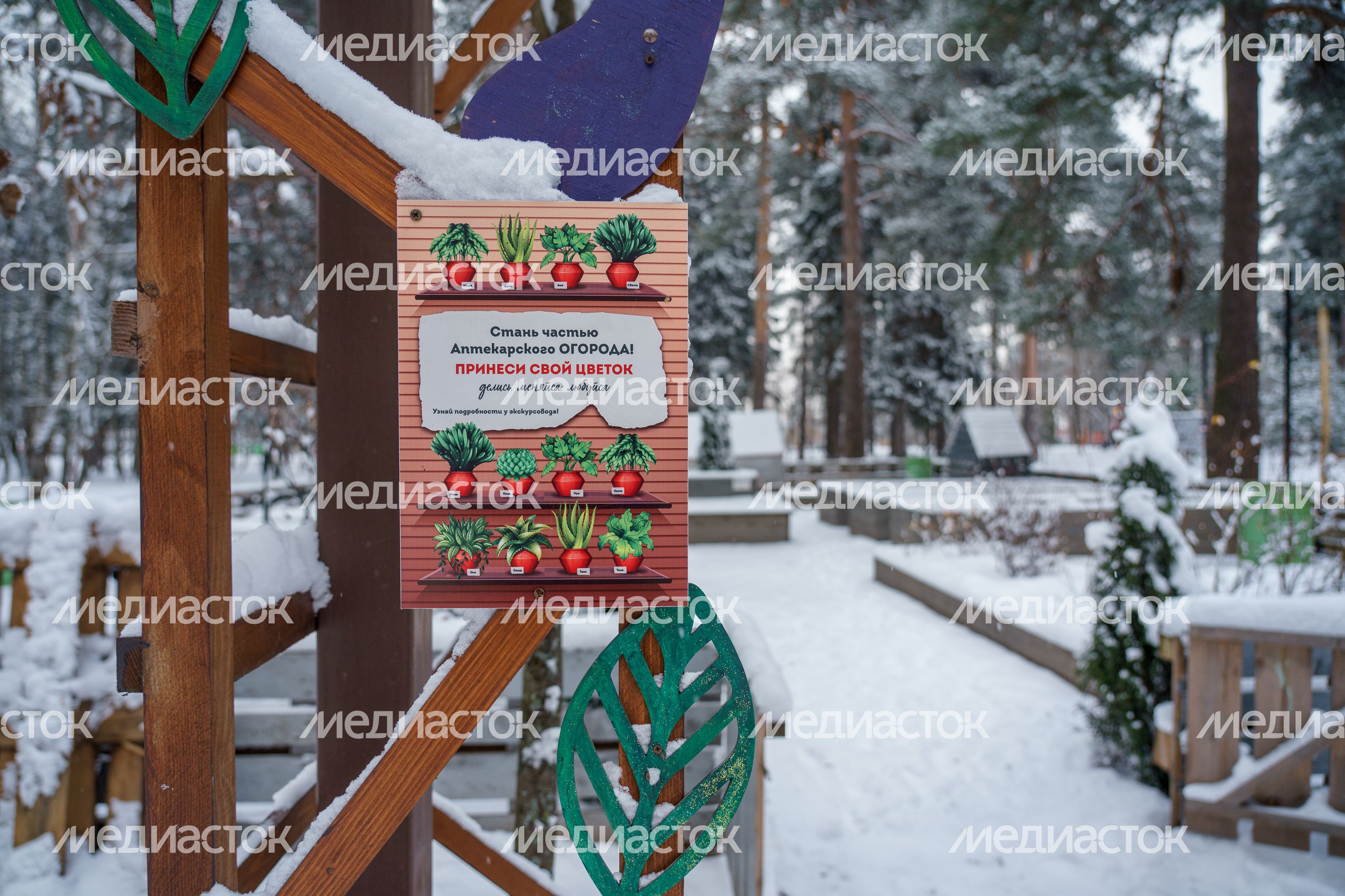 Балашиха. Пестовский парк. Зима Балашиха. Пестовский парк. Зима