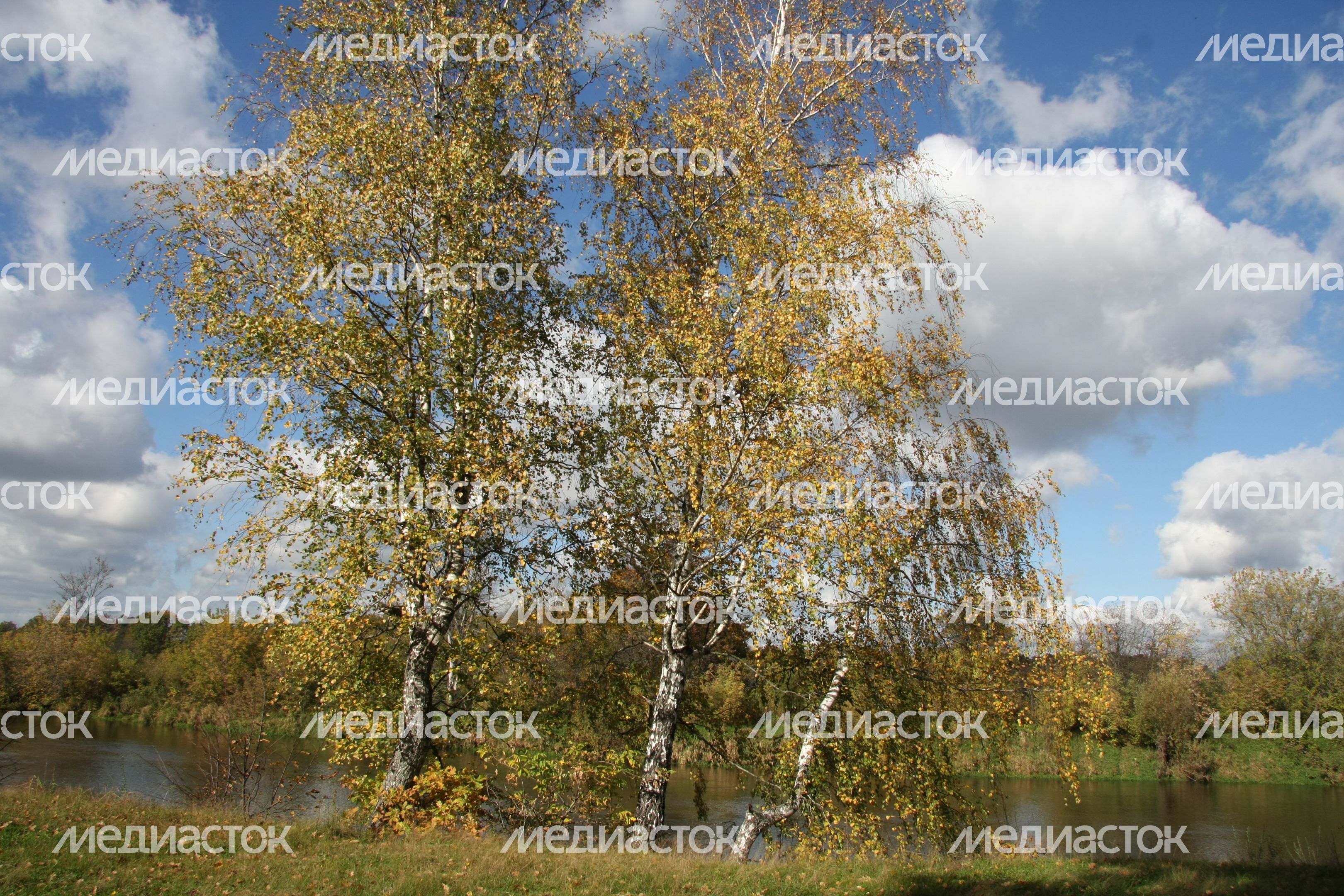 Осень в Подмосковье