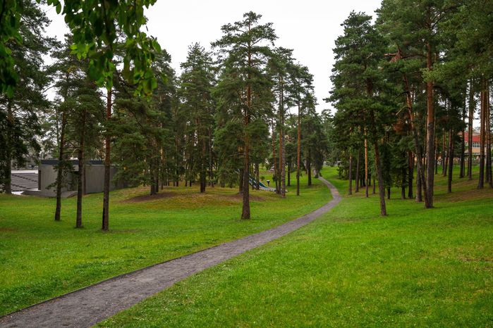 Центральный парк культуры и отдыха Жуковского летом