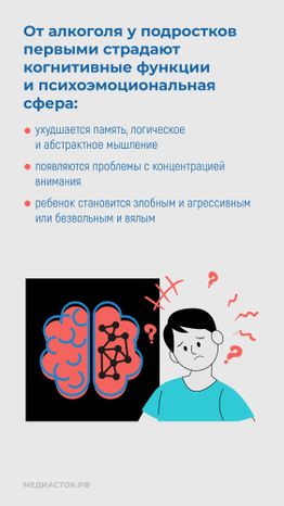 Алкоголь и развитие мозга вертикаль 06