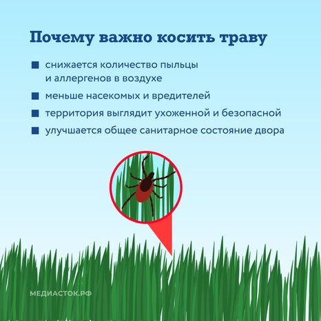 Как ухаживают за газонами квадрат 05