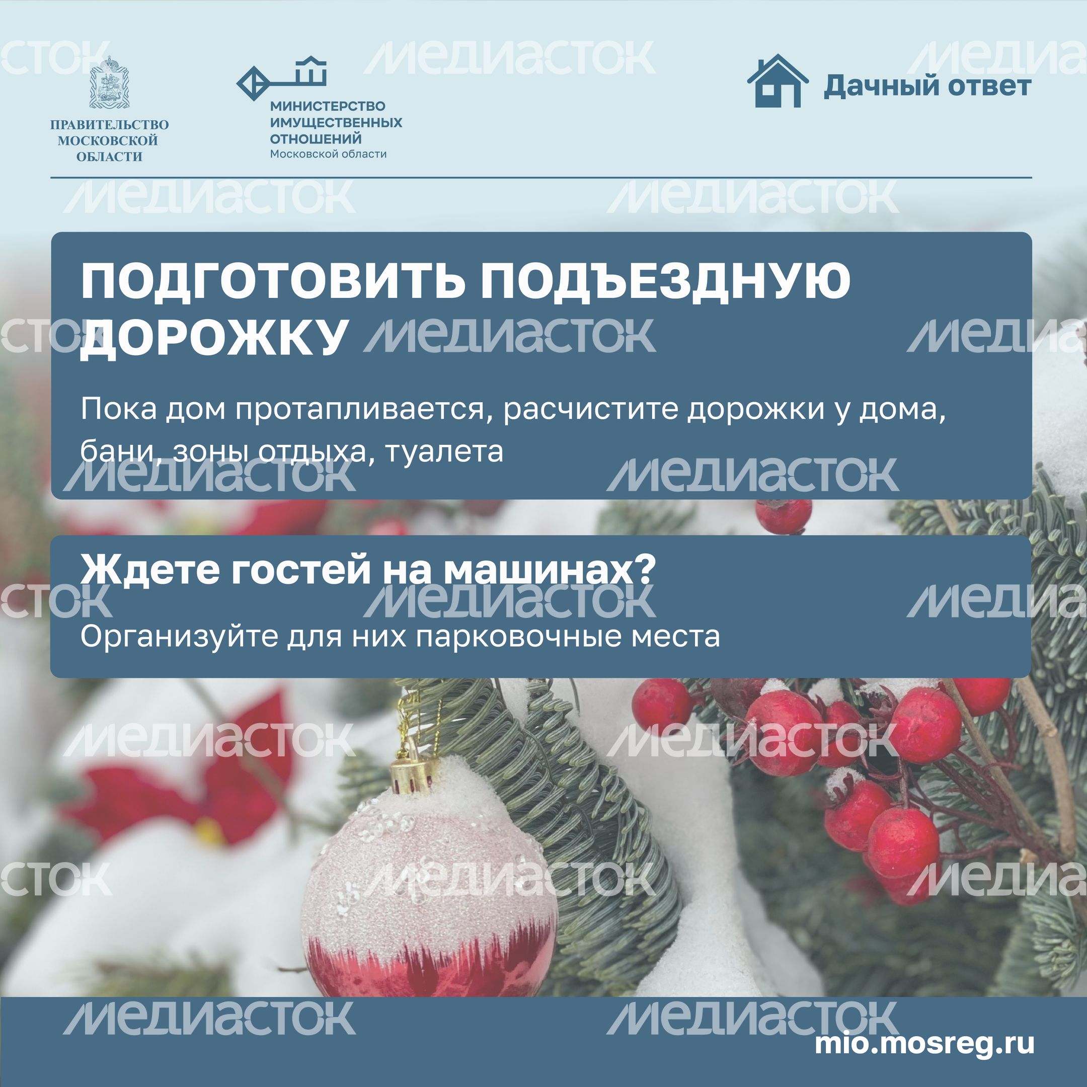 новый год на даче-квадрат-03