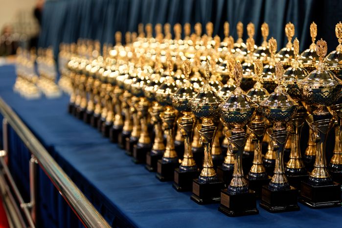 Кубок России и Всероссийские соревнования по восточному боевому единоборству сетокан в Видном