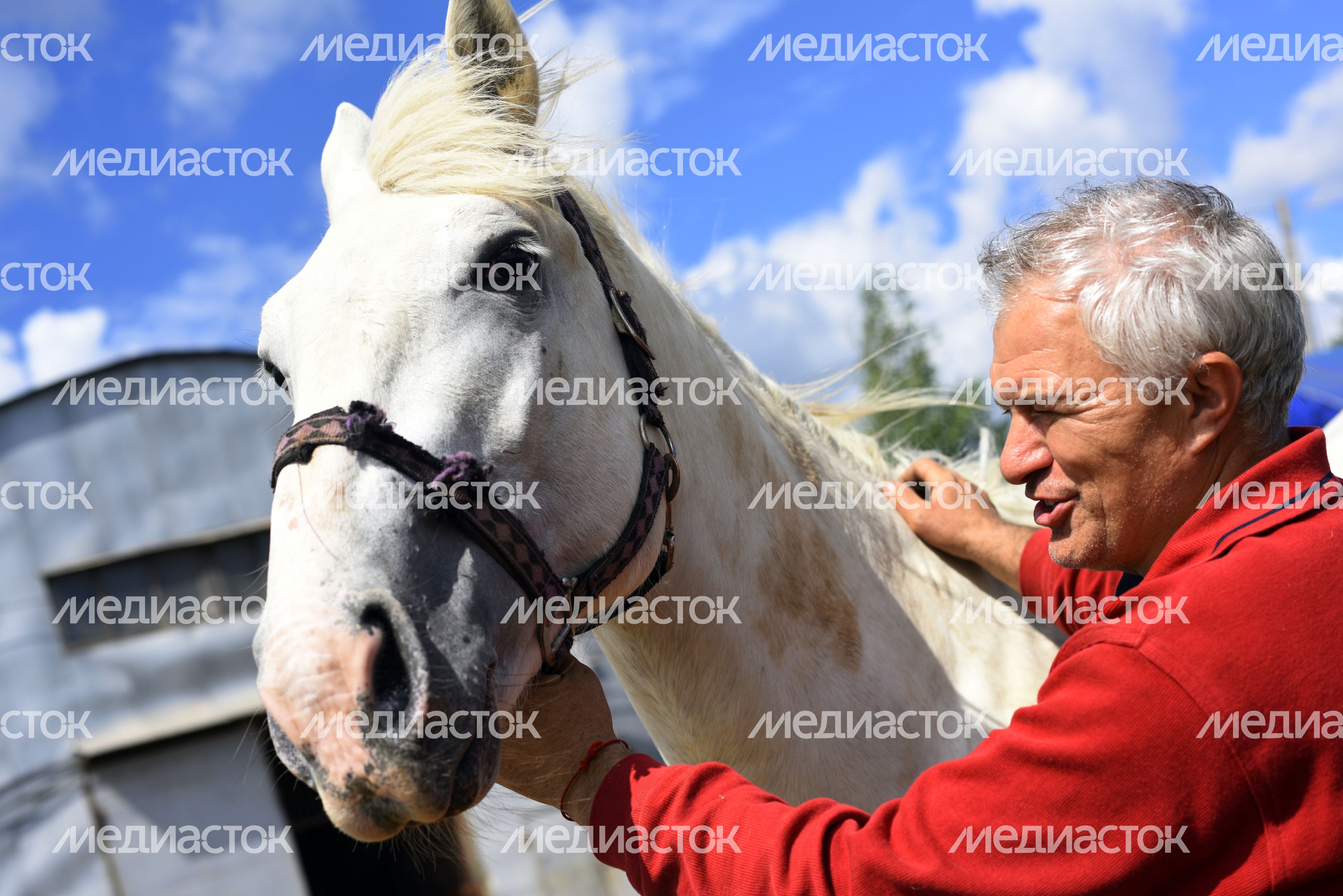 Производство карет и экипажей в Одинцовском районе