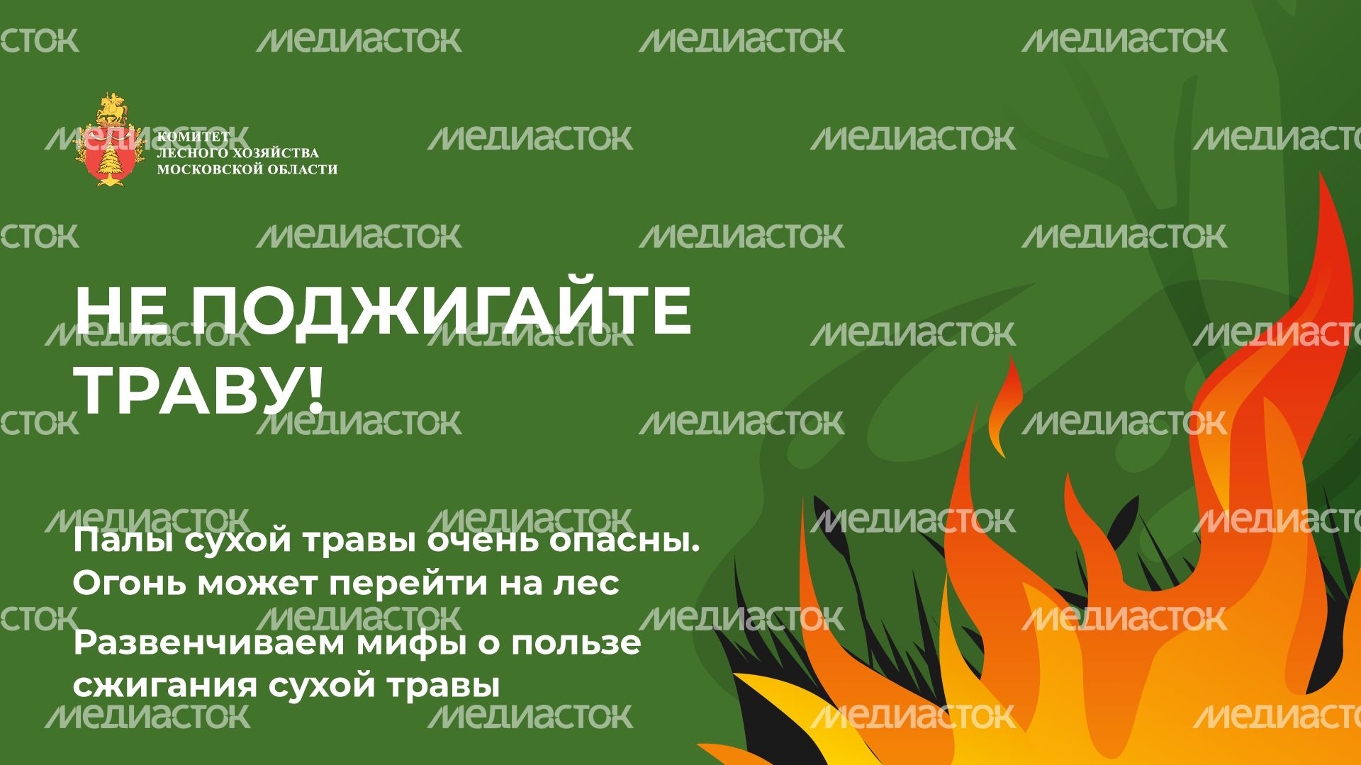 пал_гор_1.jpg