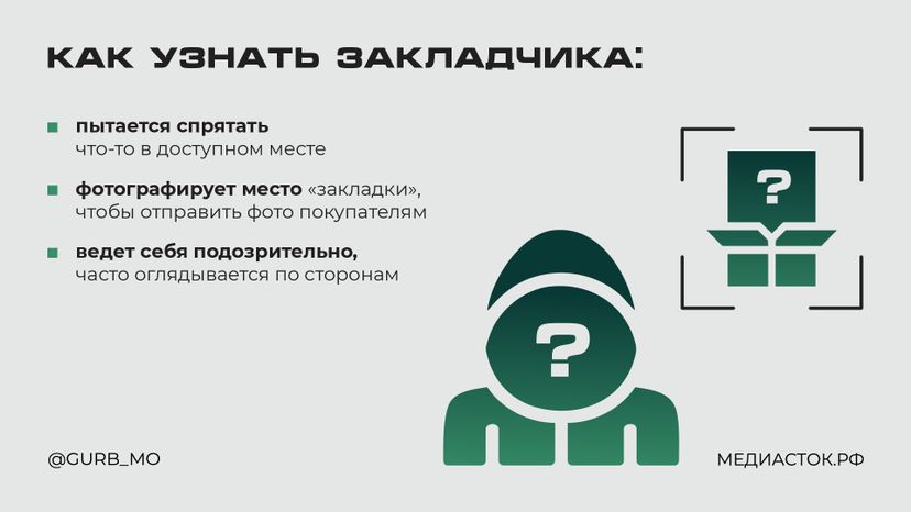Что делать, если вы заметили закладчика горизонталь 05
