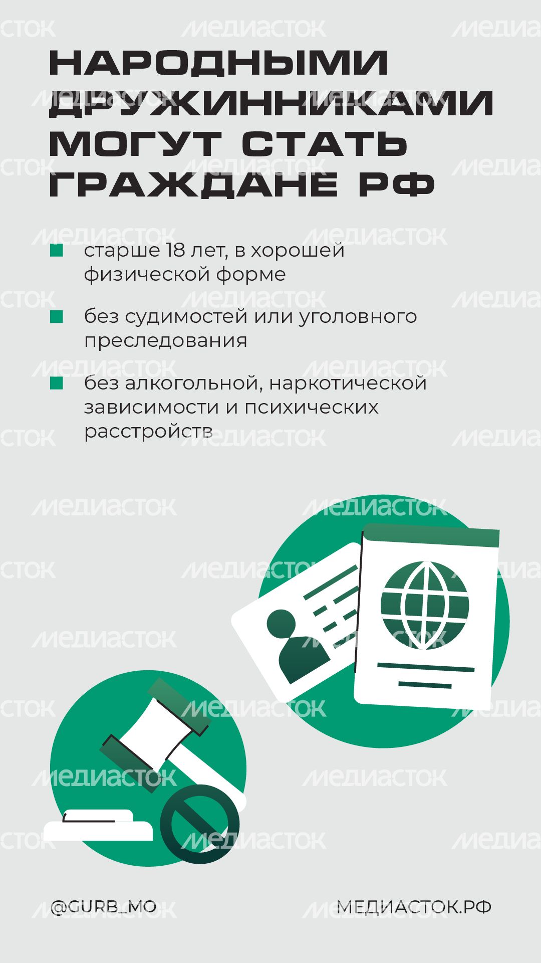 Как стать народным дружинником вертикаль 05 Как стать народным дружинником вертикаль 05