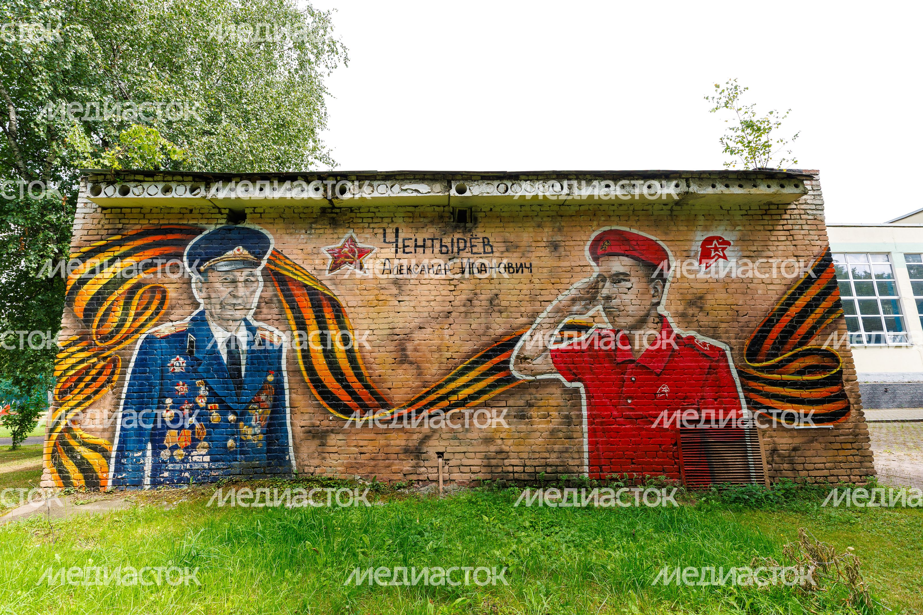 Муралы в Железнодорожном, Балашиха