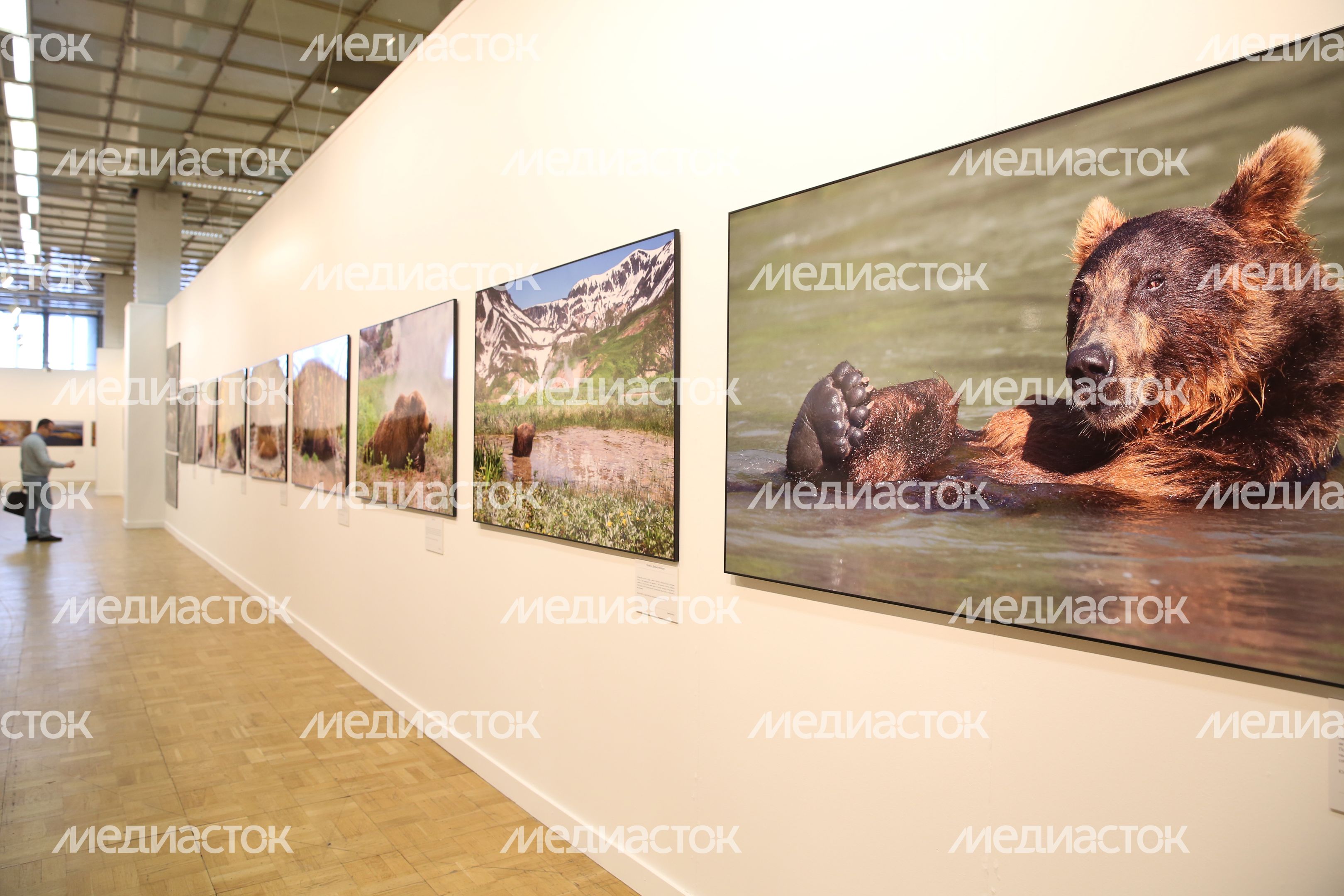 Открытие выставки «Первозданная Россия» в ЦДХ