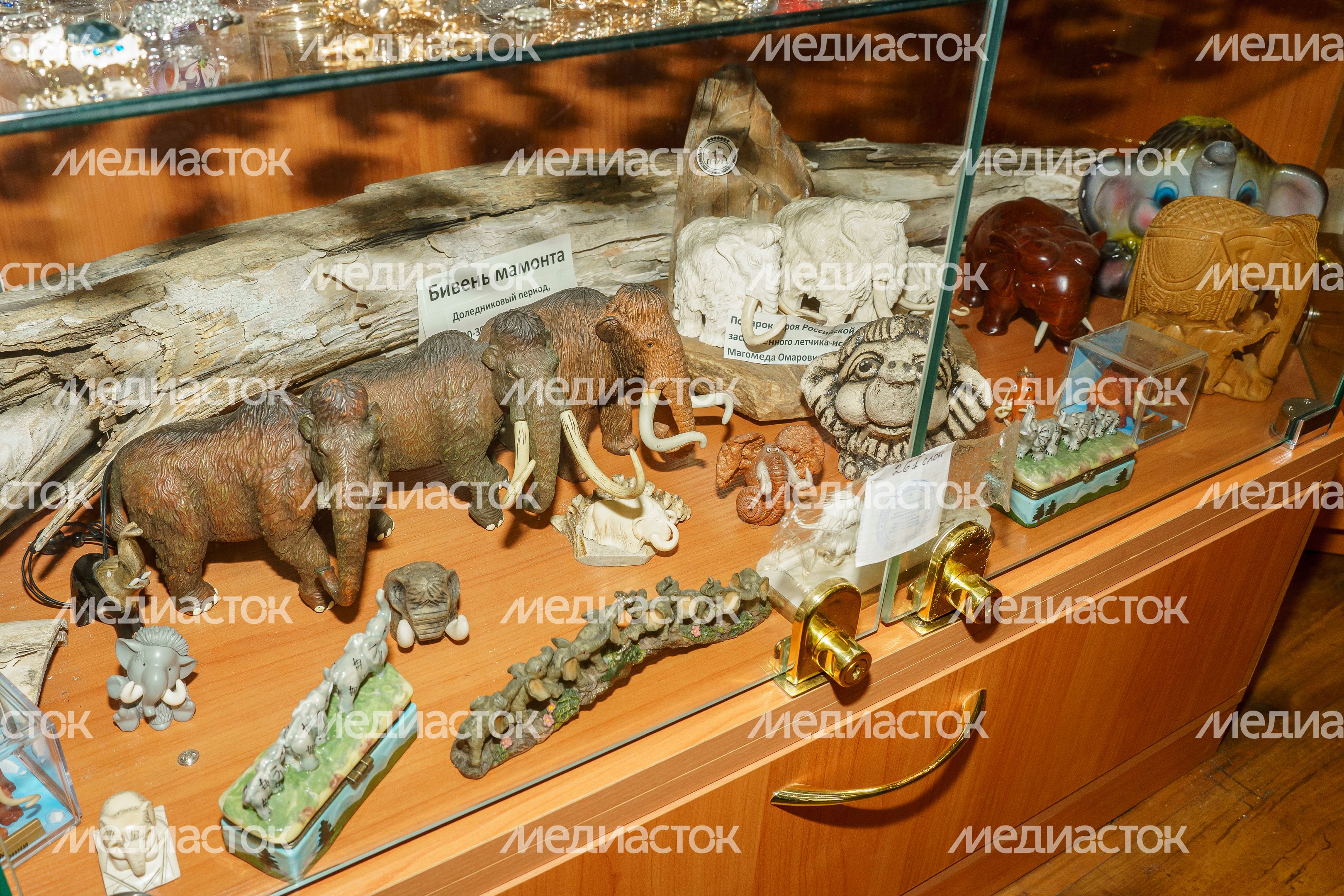 Жуковский. Пантелеимоновский Благовест. Музей слонов