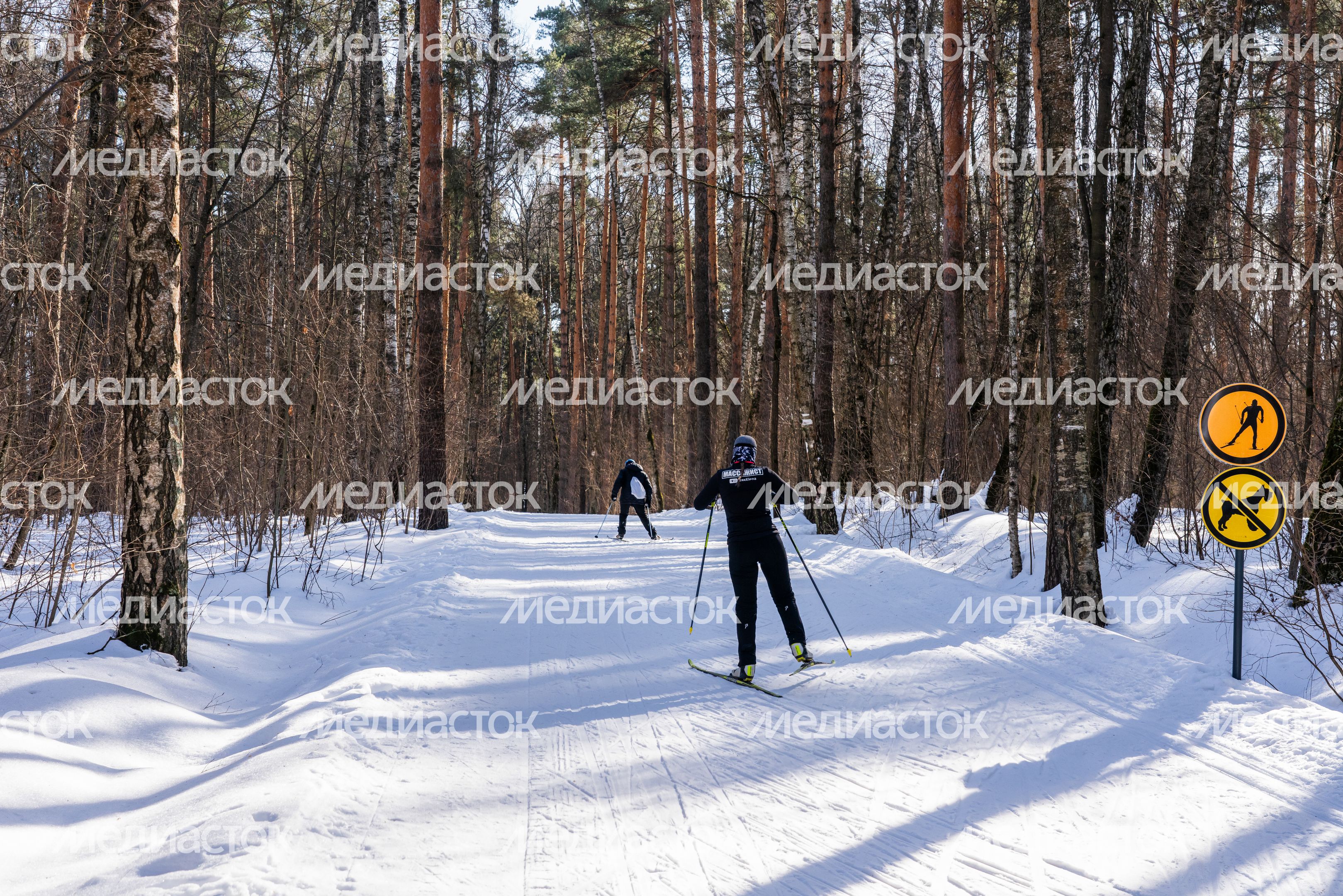 Мещерский парк в Одинцово зимой