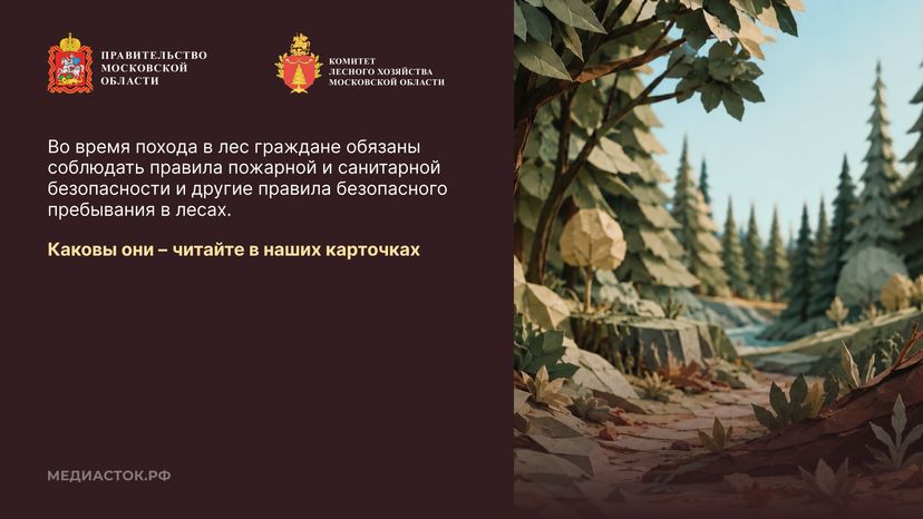Пребывание граждан в лесах Горизонталь 02