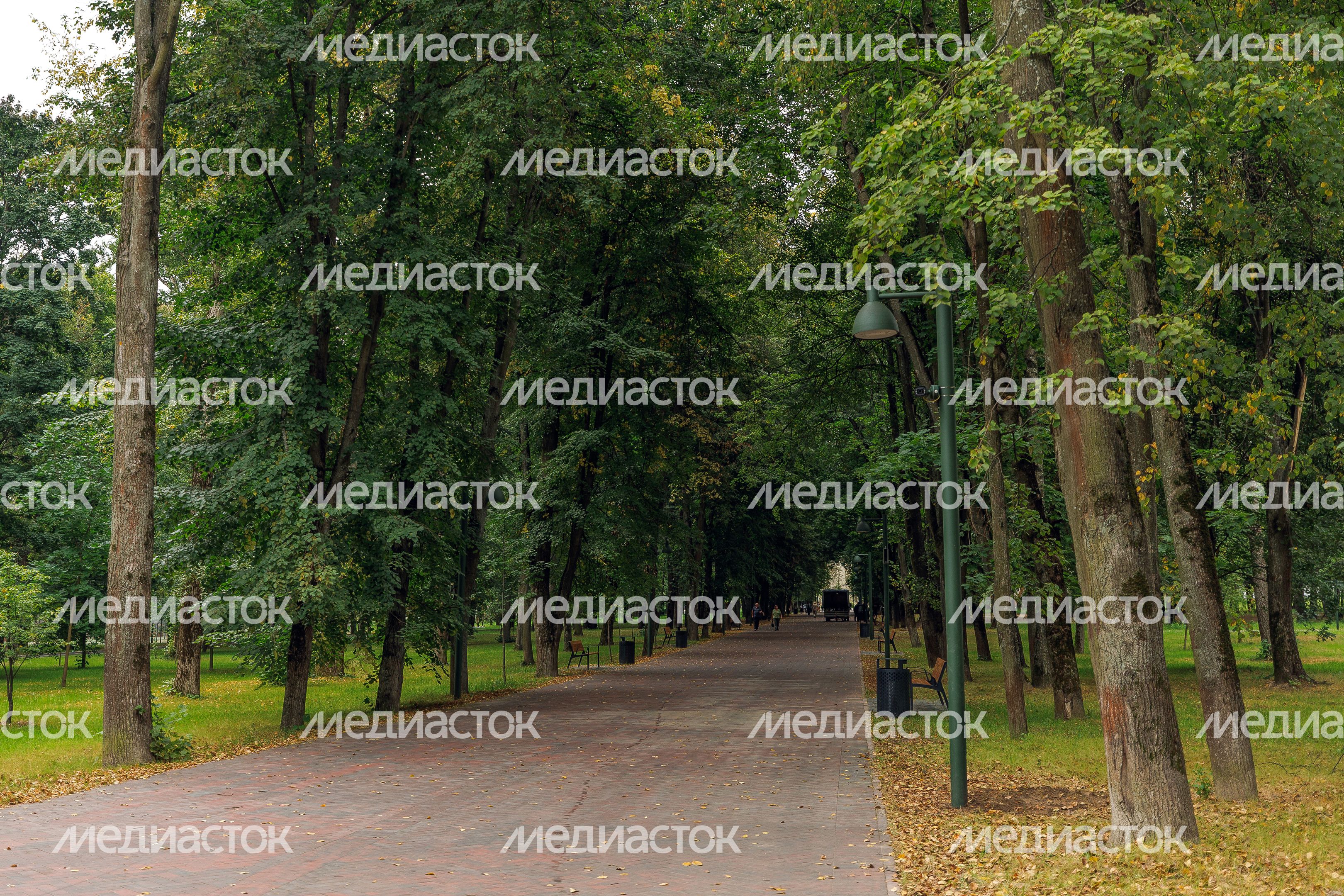 Щелковский центральный городской парк после благоустройства
