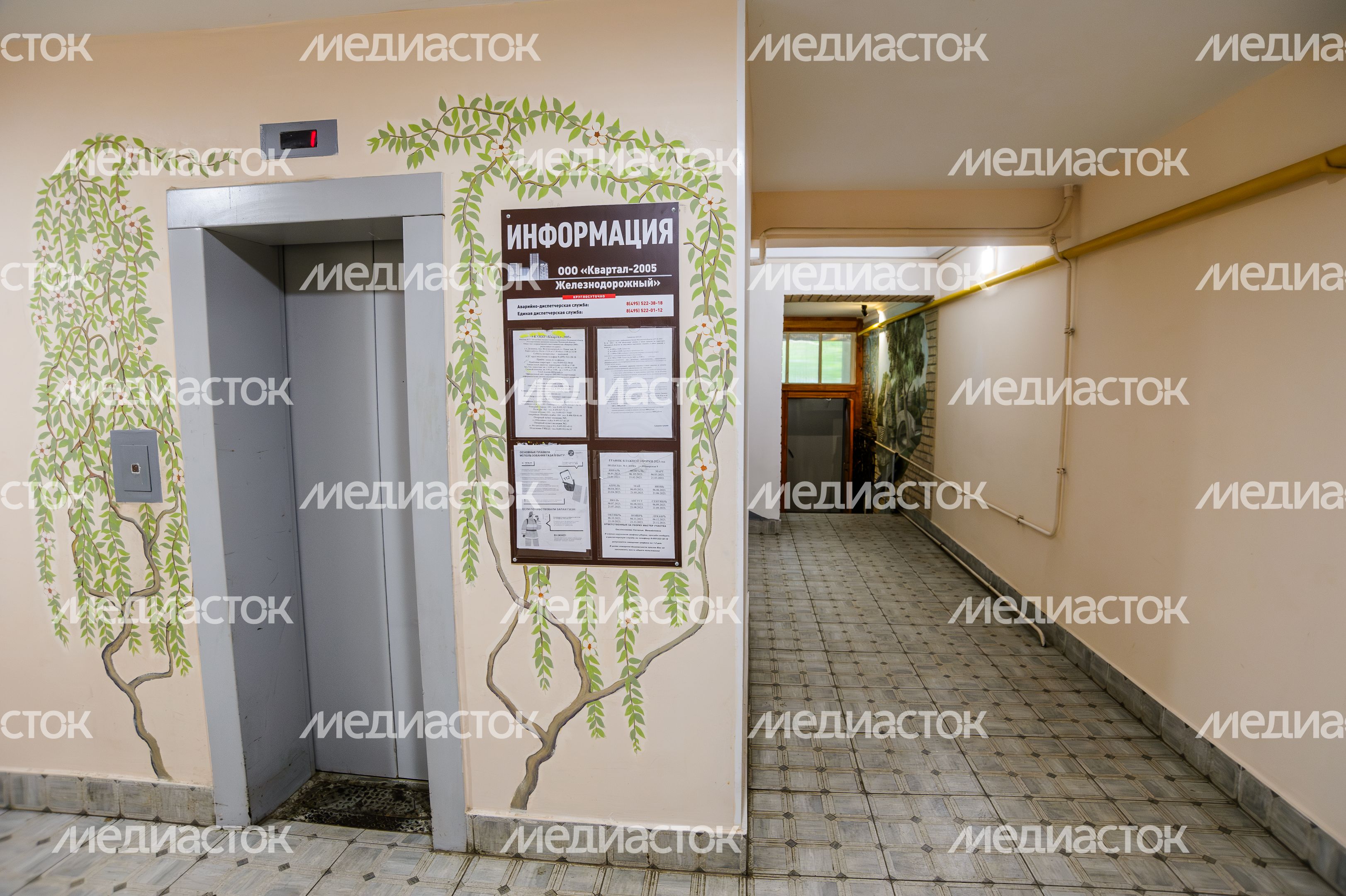Балашиха. «Лучший подъезд Подмосковья-2021», улица Пионерская, дом № 9 Балашиха. «Лучший подъезд Подмосковья-2021», улица Пионерская, дом № 9