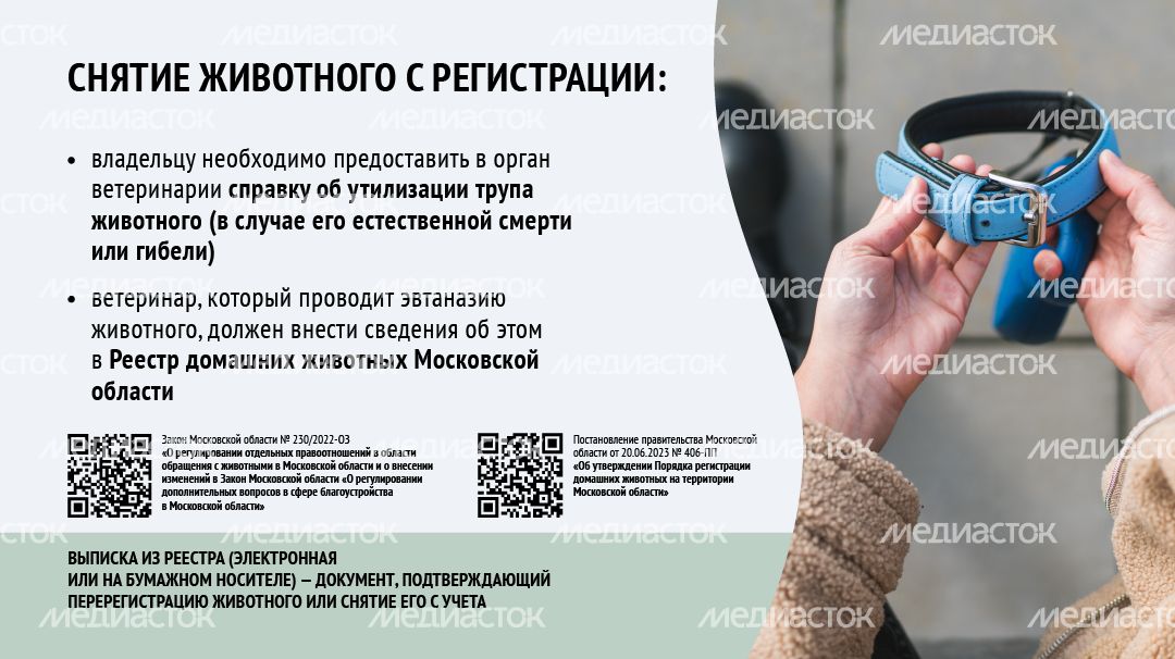 Зарегистрировать домашнее животное ред 2-горизонталь-10.png