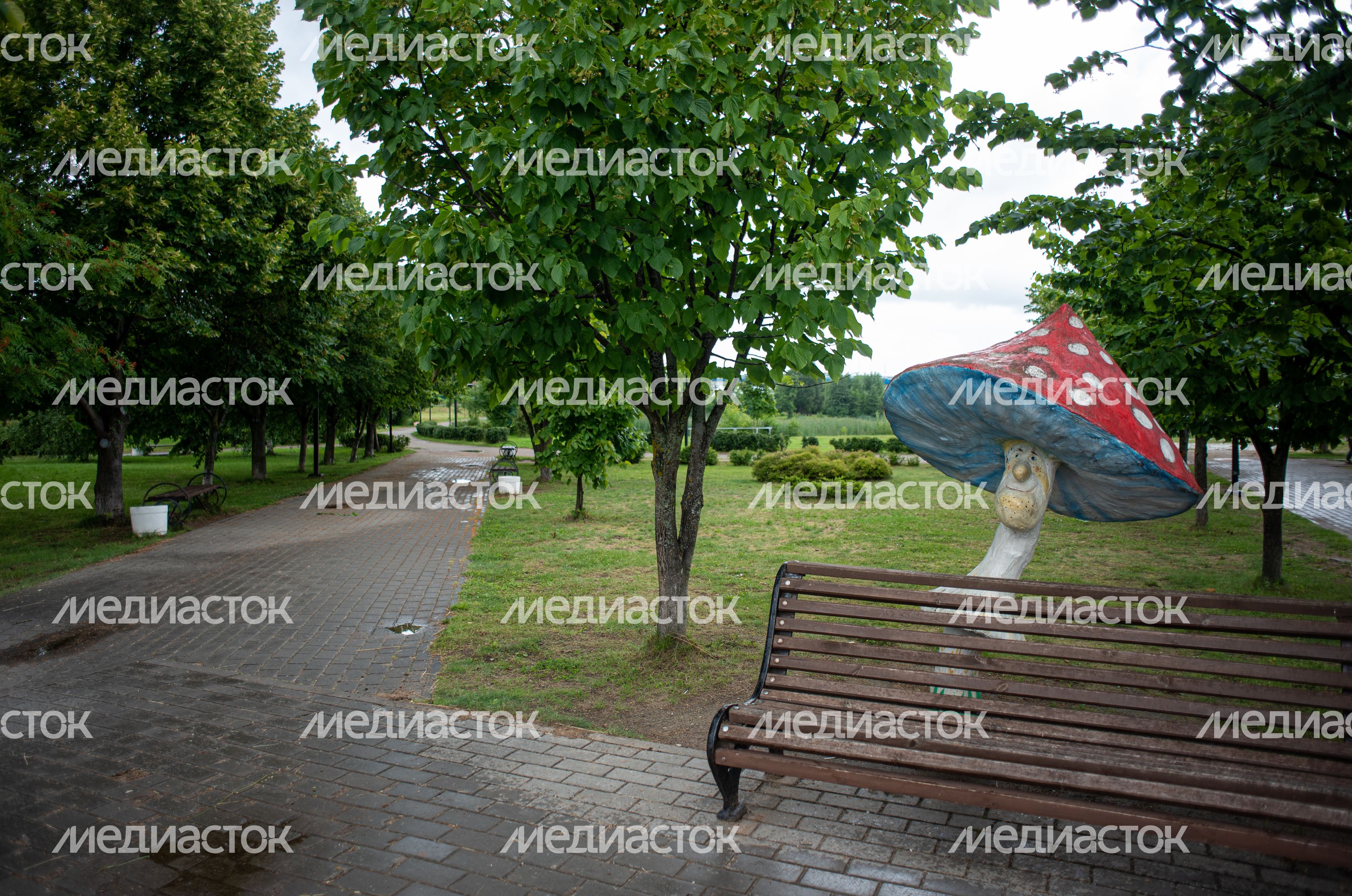 Летние виды города Дубна