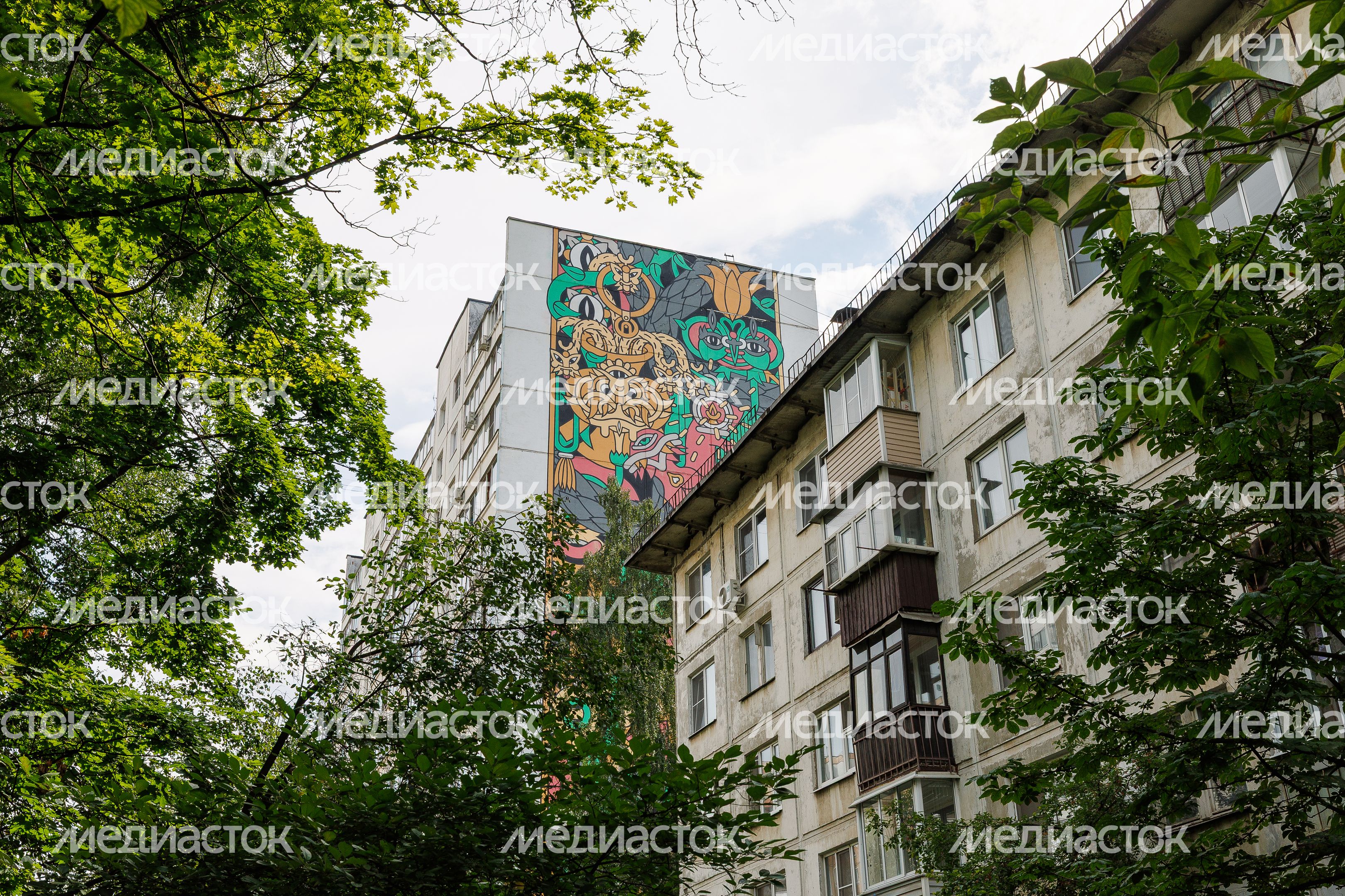 Муралы в Железнодорожном, Балашиха