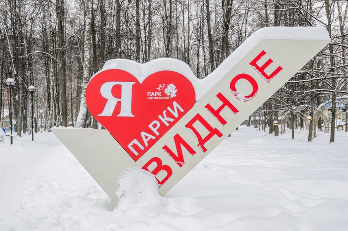 Зимний Центральный парк культуры и отдыха в Видном