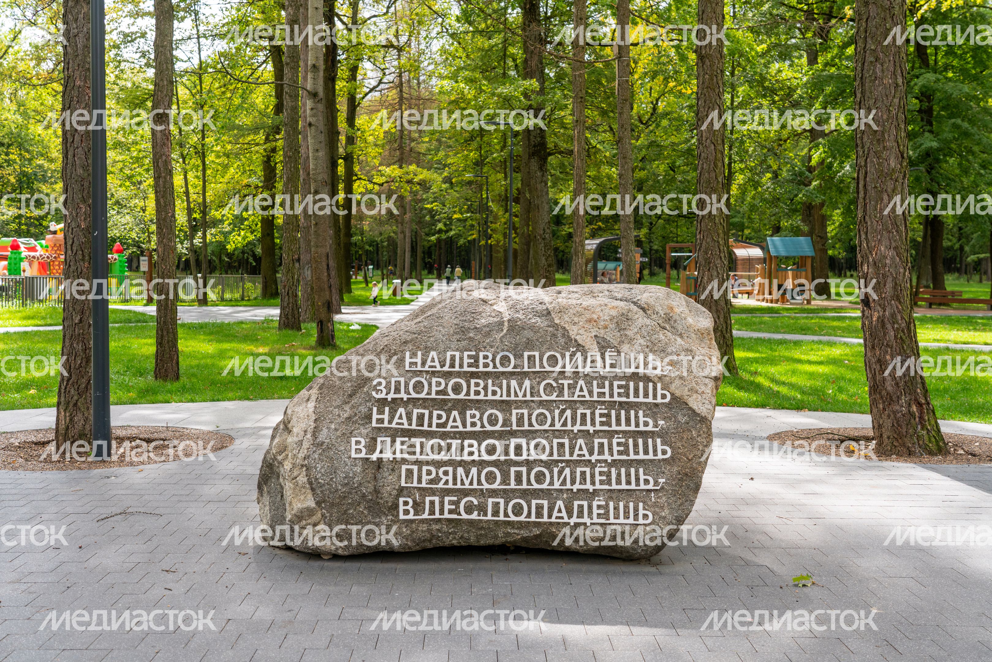 Лето в парке «Дубрава» Подольска