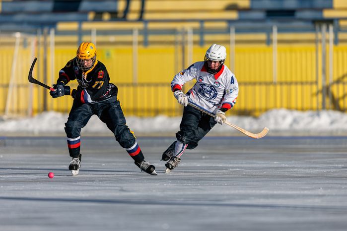 Чемпионат России по хоккею с мячом в Красногорске
