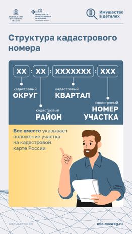 Что такое кадастровый номер участка вертикаль 03