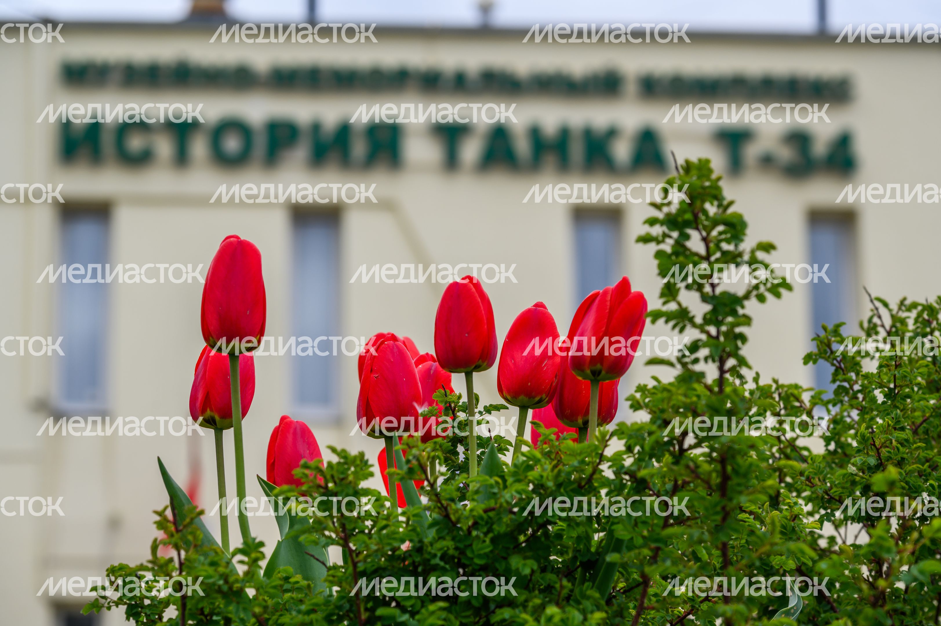 Музейно-мемориальный комплекс «История танка Т-34» в Мытищах Музейно-мемориальный комплекс «История танка Т-34» в Мытищах