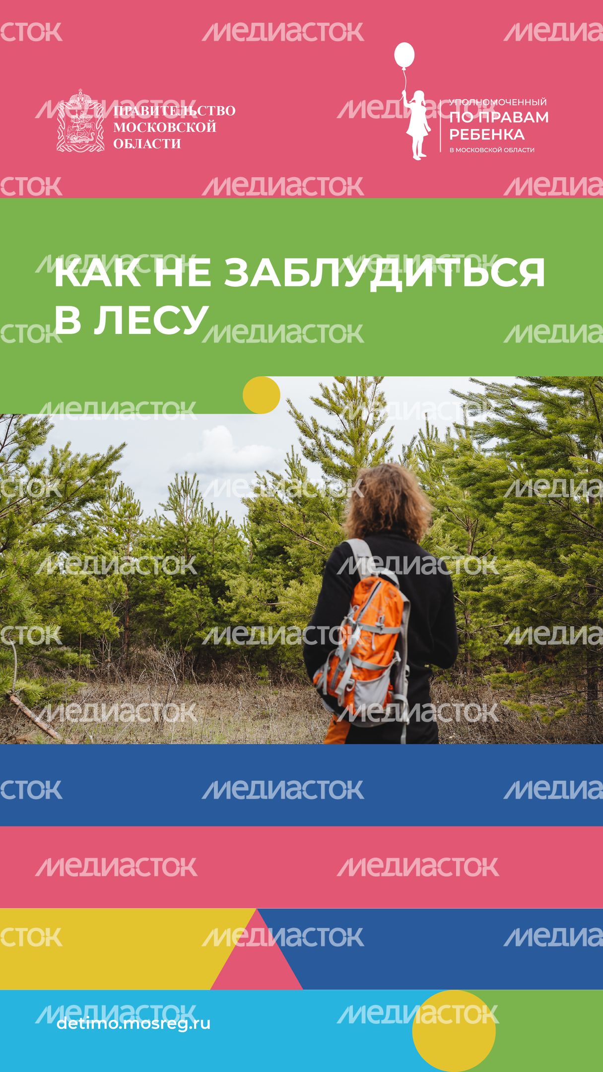 вертикаль как не заблудиться в лесу.jpg