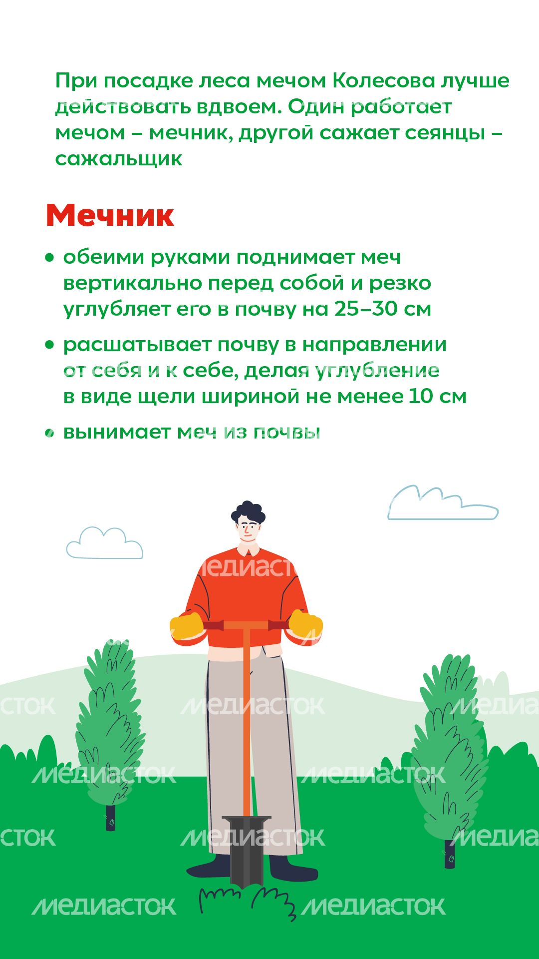 Вертикаль_ меч Колесова_03-100.jpg