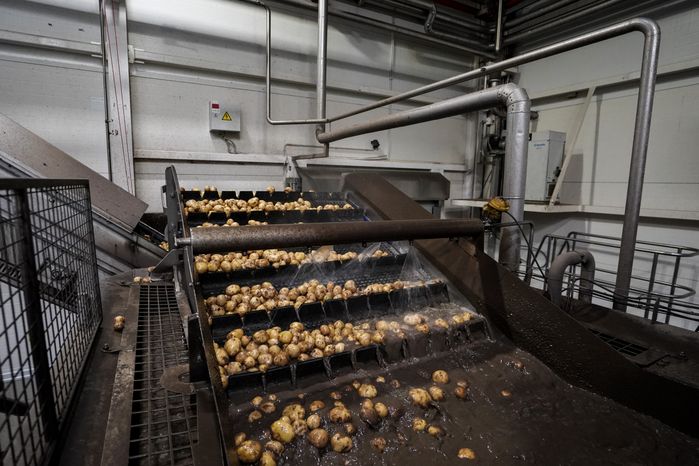 Производство чипсов Lay’s на заводе PepsiCo в Кашире