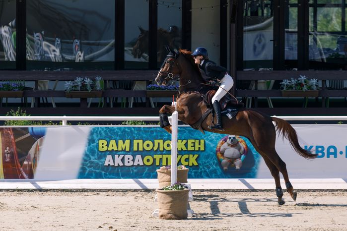 Всадник на Евразийских играх по конкуру в конноспортивном комплексе «Максима парк» в Дмитровском округе